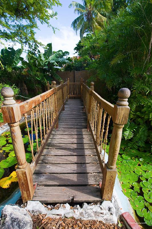 20090204_150238 D3 P1 3400x5100 srgb.jpg - Hemmingway Home, Key West.   He lived and wrote here for more than 10 years.